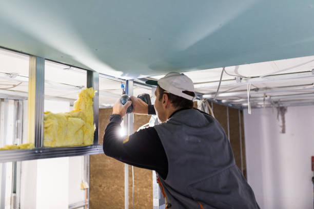 Best DIY Insulation Kits and Guidance in Balch Springs, TX