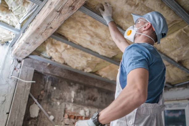 Best Fiberglass Insulation in Balch Springs, TX