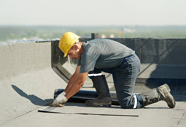 Best Commercial Insulation in Balch Springs, TX