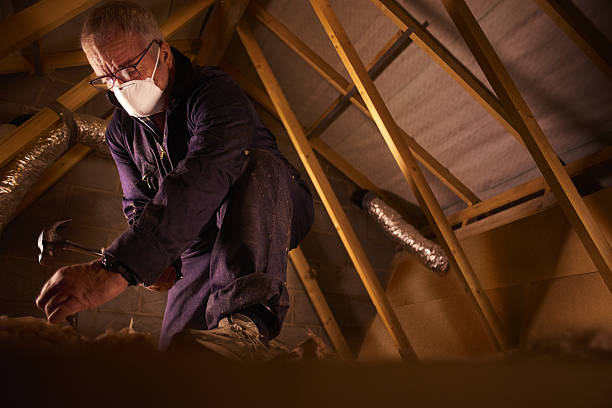 Best Eco-Friendly Insulation in Balch Springs, TX